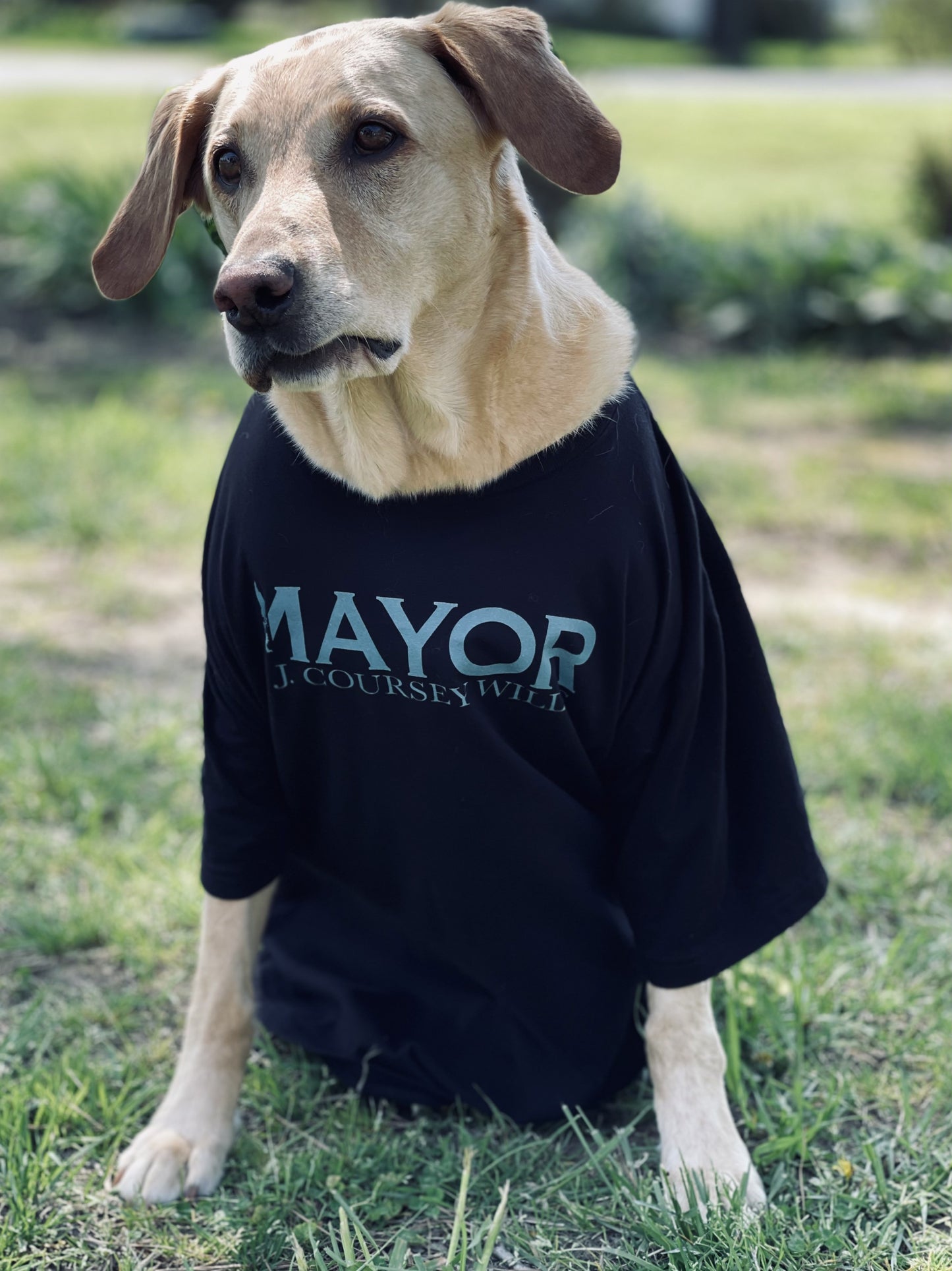 Kent Island Mayor Shirt